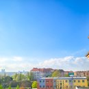 프라하어린이집 이미지