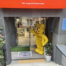 레이크펫스토어 - 수원시 영통구 법조로 25 | 레이크펫스토어