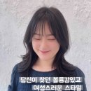 평광헤어 이미지