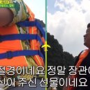 팰롱팰롱 이미지