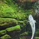 다누리센터안내소 이미지