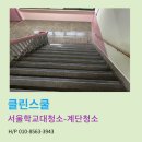 클린스쿨서울 이미지