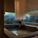 무디타 제주 이미지