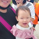 떠이닌관