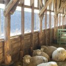 해림목장 이미지