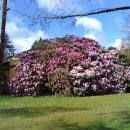 레이크 민박 이미지