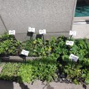 구로농장 이미지