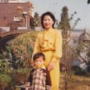 이날치 단독 콘서트 | [정시행 기자의 드라이브] 경기민요 소리꾼 이희문 - 조선일보