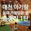 P&M 반려견교육센터 대전점 | 대전 겨울에 아기랑 실내 가볼만한 곳 총정리 모음 1탄