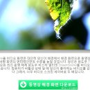 컴퓨터 바탕화면을 동영상으로 바꿔보자! 이미지