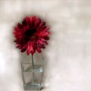 아침의 향기 이미지