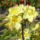 부리농장 이미지