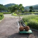 계심헌 공예 미술관 이미지