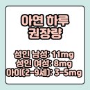 하루 이미지