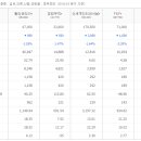 남녀용 겉옷 및 셔츠 도매업