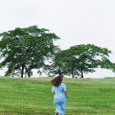 한올바람