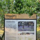 송림제 | 장항송림어울림생태놀이터, 맥문동 명소 송림마을 솔바람 숲, 유네스코 세계자연유산 서천갯벌 방문 후기