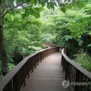 금원산생태수목원 이미지