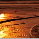 용산1농로 이미지