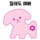 아카데미유치원 이미지