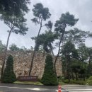 저동목욕탕 | 안토리조트 후기_멤버스 숙박 후기