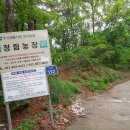 (주)디에스씨