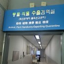 공항 동물병원 | 🇰🇷✈️🐶 한국에서 캐나다로 반려동물과 함께 출국 준비! 인천공항 동물검역소 방문 후기 🐾