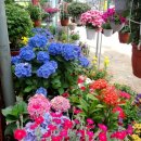 유림농장 이미지