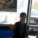 바다와푸른솔 이미지