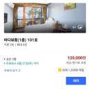 안면도바닷가웨이브펜션