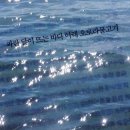 달뜨는바다 이미지