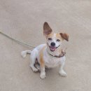 주식회사 지키미 이미지