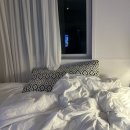 세탁나라 시기점 | 소프라움 쇼팽2025 롯데 강남점 내돈내산 한달사용후기(소프라움 호텔침구세트 폴란드구스이불)
