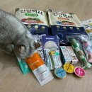 할리하우스 | 부산 캣쇼 2025 방문 후기, 캣쇼백 수령, 내핑하우스 캣폴 구입기