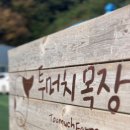 투머치팜