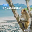 섬투어