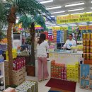 진해일등약국 이미지