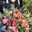 플로미아 이미지