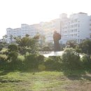 혼인지마을 이미지