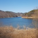 보아공인중개사사무소 이미지