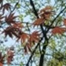 와인치과의원 이미지