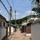 백조이용원 이미지