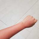 골드SUN 이미지
