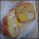 커피내리는고냥