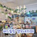 [버드힐링앵무새카페] 색다른 힐링 공간