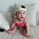 2024 일상 / 영도태식이의소신 / 센텀더타코부스 / 서면윈썸헤어 / 남포동이재모피자 / 인스탁스미니...