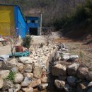 늘푸른 흑염소농장 이미지