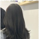 진헤어샵 - 안양시 동안구 | 진헤어샵
