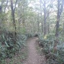 번암무룡고개로 이미지