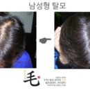 불로장생모